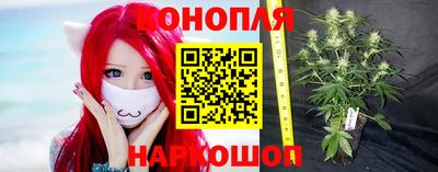 эйфоретик Краснодар